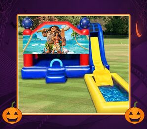 Giant Themed Combo Rentals